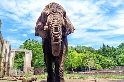 🏞️ 모리오카시 동물공원 줌오